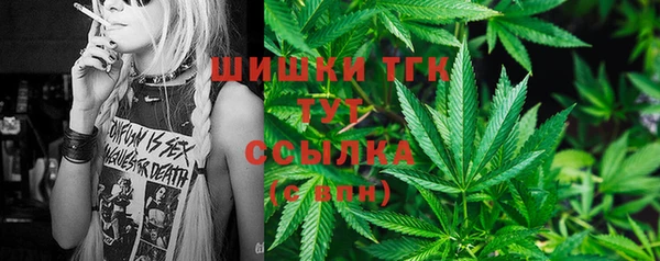 стаф Карталы