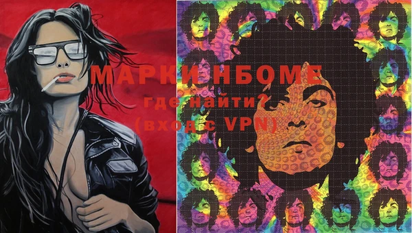 стаф Карталы