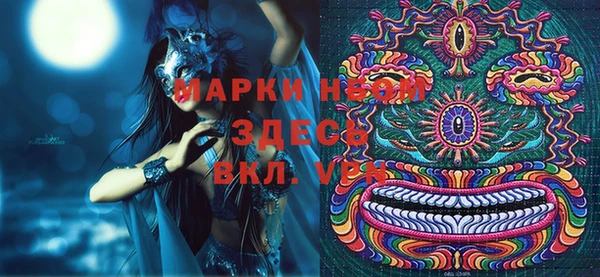 стаф Карталы
