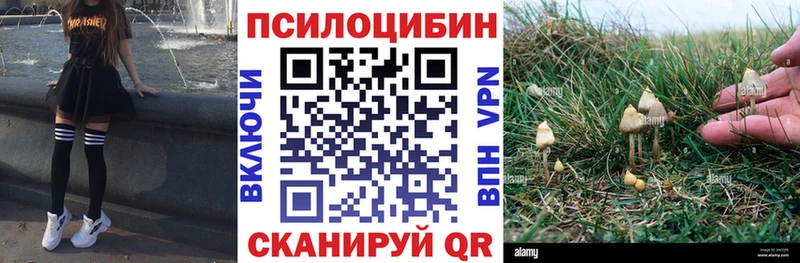 Псилоцибиновые грибы ЛСД  Купить где  Белый 